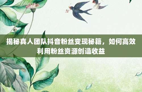 揭秘真人团队抖音粉丝变现秘籍，如何高效利用粉丝资源创造收益