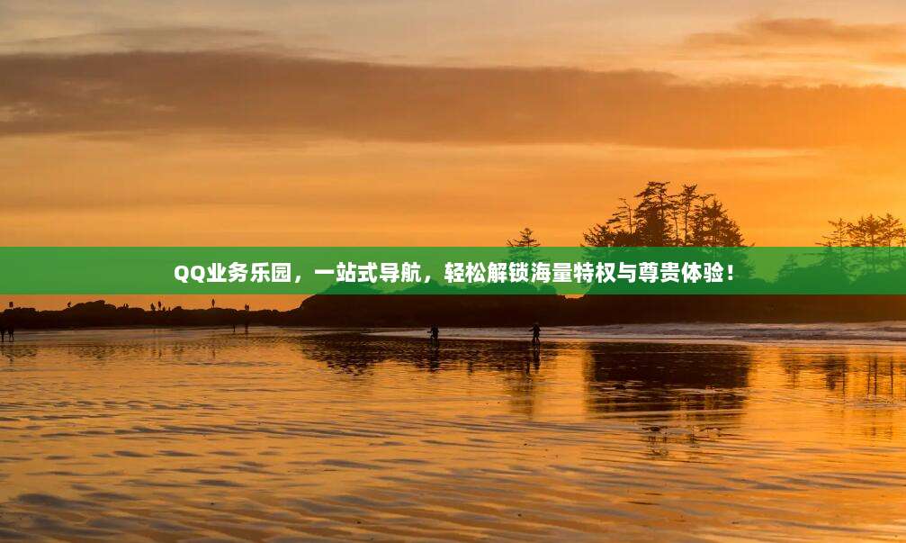 QQ业务乐园，一站式导航，轻松解锁海量特权与尊贵体验！