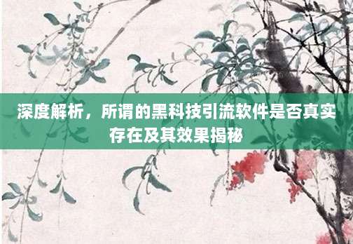 深度解析，所谓的黑科技引流软件是否真实存在及其效果揭秘
