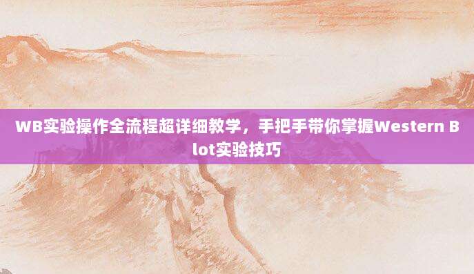 WB实验操作全流程超详细教学,手把手带你掌握Western Blot实验技巧