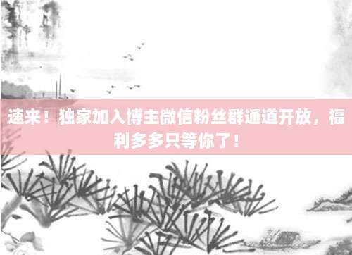 速来！独家加入博主微信粉丝群通道开放，福利多多只等你了！