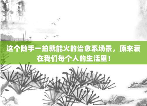 这个随手一拍就能火的治愈系场景，原来藏在我们每个人的生活里！