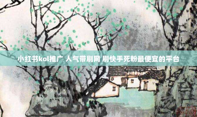 小红书kol推广 人气带刷网 刷快手死粉最便宜的平台