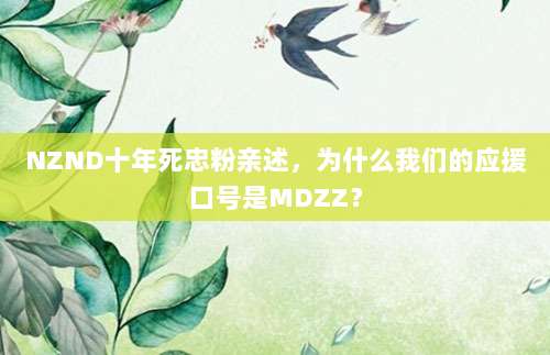 NZND十年死忠粉亲述,为什么我们的应援口号是MDZZ?