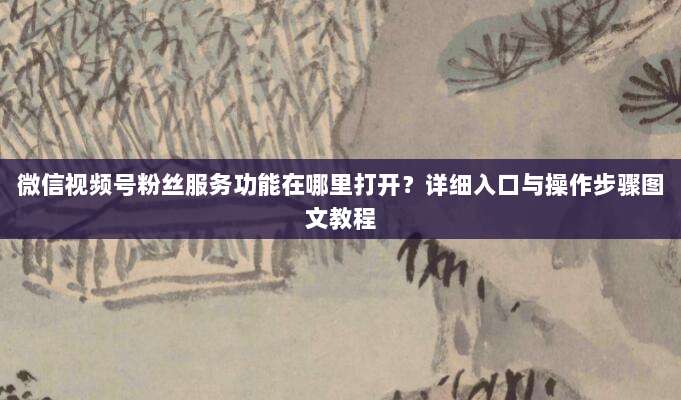 微信视频号粉丝服务功能在哪里打开？详细入口与操作步骤图文教程
