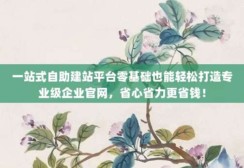 一站式自助建站平台零基础也能轻松打造专业级企业官网，省心省力更省钱！