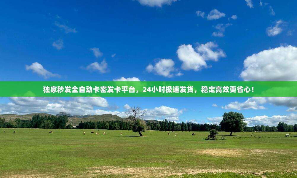 独家秒发全自动卡密发卡平台，24小时极速发货，稳定高效更省心！