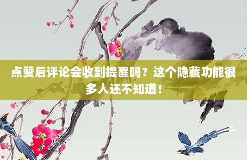 点赞后评论会收到提醒吗?这个隐藏功能很多人还不知道!