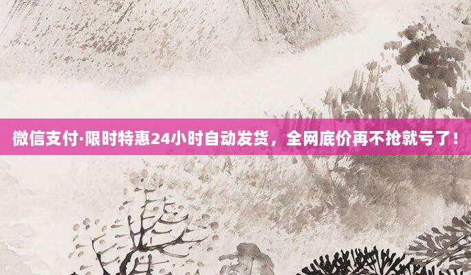 微信支付·限时特惠24小时自动发货，全网底价再不抢就亏了！