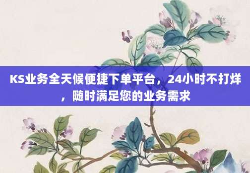 KS业务全天候便捷下单平台，24小时不打烊，随时满足您的业务需求
