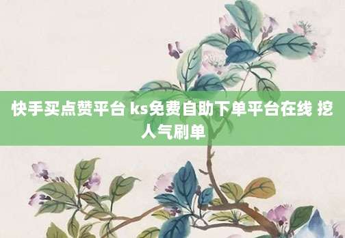 快手买点赞平台 ks免费自助下单平台在线 挖人气刷单