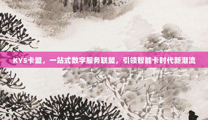 KYS卡盟，一站式数字服务联盟，引领智能卡时代新潮流