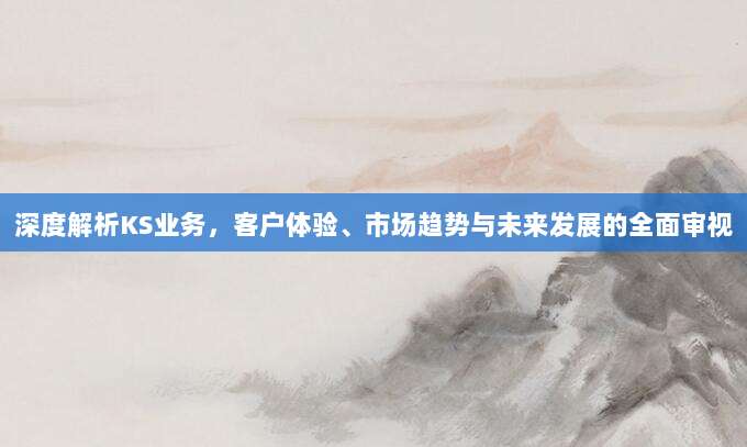 深度解析KS业务，客户体验、市场趋势与未来发展的全面审视