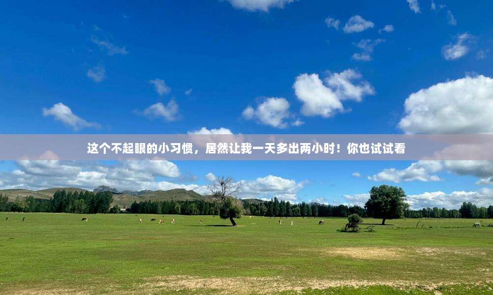 这个不起眼的小习惯，居然让我一天多出两小时！你也试试看