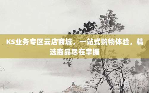 KS业务专区云店商城，一站式购物体验，精选商品尽在掌握