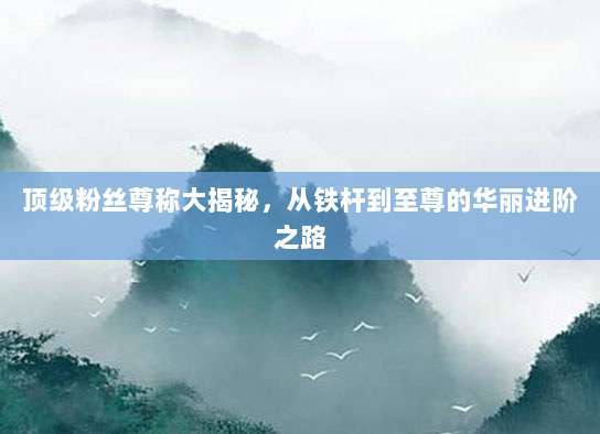 顶级粉丝尊称大揭秘，从铁杆到至尊的华丽进阶之路