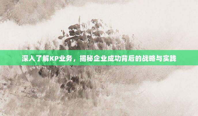 深入了解KP业务，揭秘企业成功背后的战略与实践