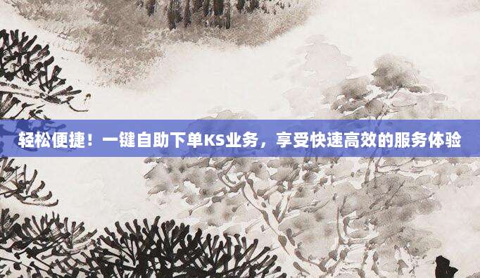 轻松便捷！一键自助下单KS业务，享受快速高效的服务体验