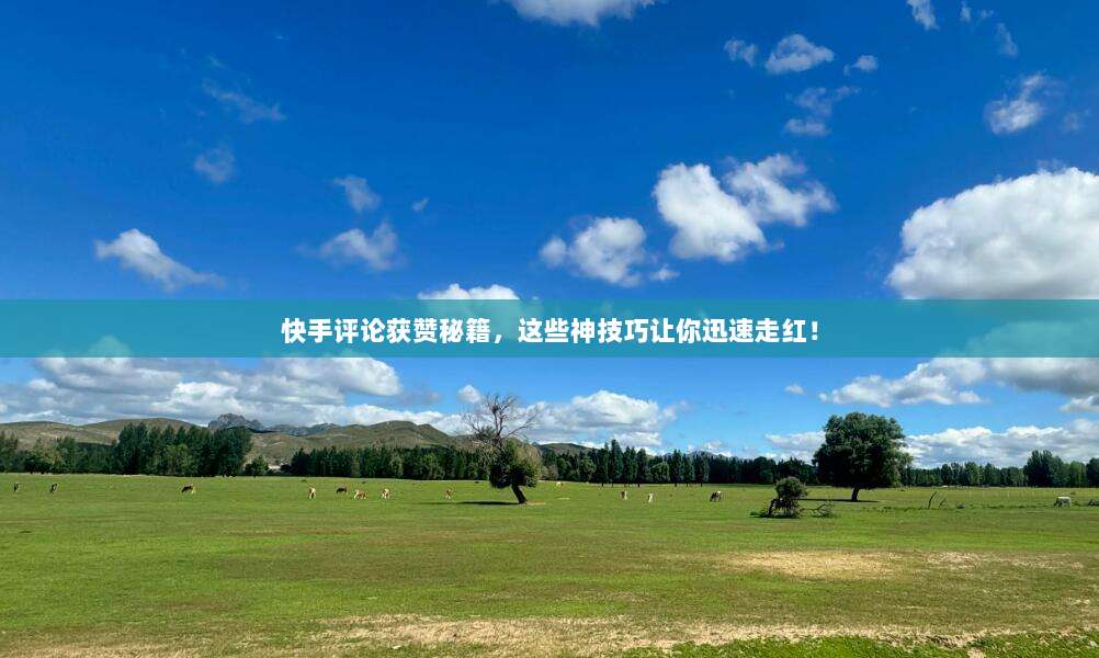 快手评论获赞秘籍，这些神技巧让你迅速走红！