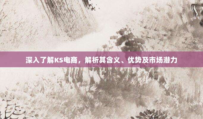深入了解KS电商，解析其含义、优势及市场潜力
