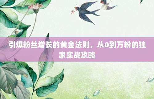 引爆粉丝增长的黄金法则，从0到万粉的独家实战攻略