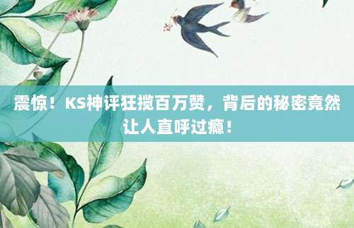 震惊!KS神评狂揽百万赞,背后的秘密竟然让人直呼过瘾!