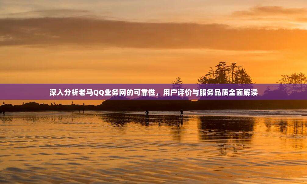 深入分析老马QQ业务网的可靠性，用户评价与服务品质全面解读