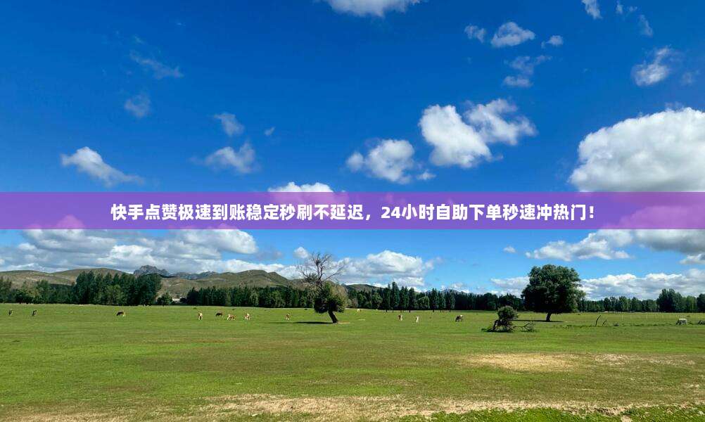 快手点赞极速到账稳定秒刷不延迟,24小时自助下单秒速冲热门!
