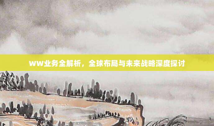 WW业务全解析，全球布局与未来战略深度探讨