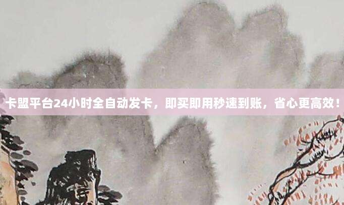 卡盟平台24小时全自动发卡，即买即用秒速到账，省心更高效！
