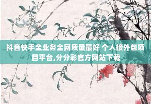 抖音快手全业务全网质量最好 个人接外包项目平台,分分彩官方网站下载