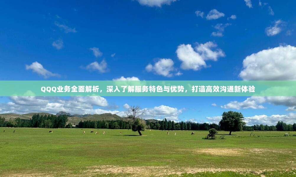 QQQ业务全面解析，深入了解服务特色与优势，打造高效沟通新体验