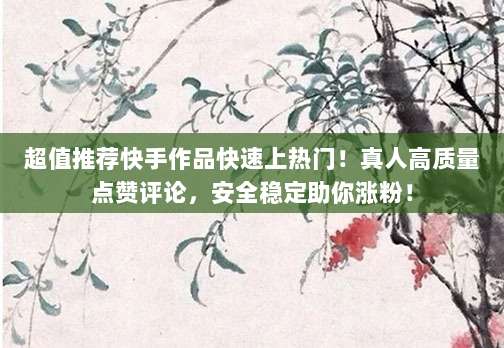 超值推荐快手作品快速上热门！真人高质量点赞评论，安全稳定助你涨粉！