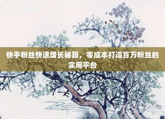 快手粉丝快速增长秘籍，零成本打造百万粉丝的实用平台
