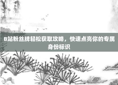 B站粉丝牌轻松获取攻略，快速点亮你的专属身份标识