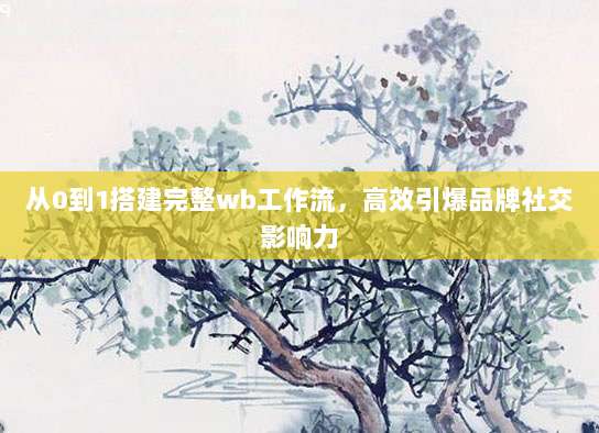 从0到1搭建完整wb工作流，高效引爆品牌社交影响力