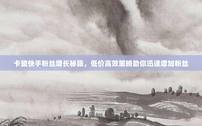 卡盟快手粉丝增长秘籍，低价高效策略助你迅速增加粉丝