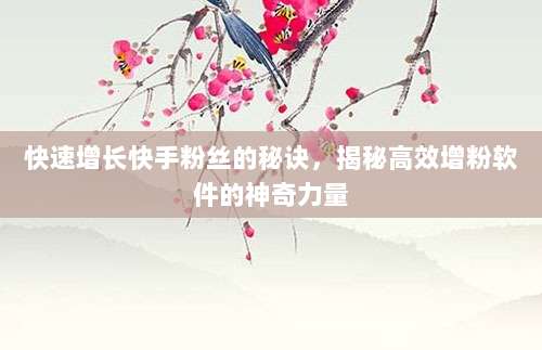 快速增长快手粉丝的秘诀，揭秘高效增粉软件的神奇力量