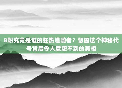 B粉究竟是谁的狂热追随者？饭圈这个神秘代号背后令人意想不到的真相
