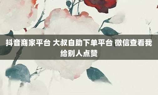 抖音商家平台 大叔自助下单平台 微信查看我给别人点赞