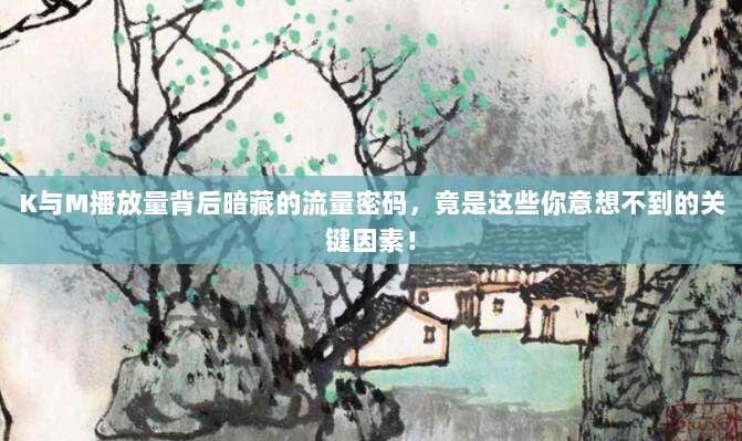K与M播放量背后暗藏的流量密码，竟是这些你意想不到的关键因素！
