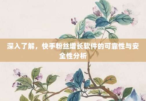 深入了解，快手粉丝增长软件的可靠性与安全性分析