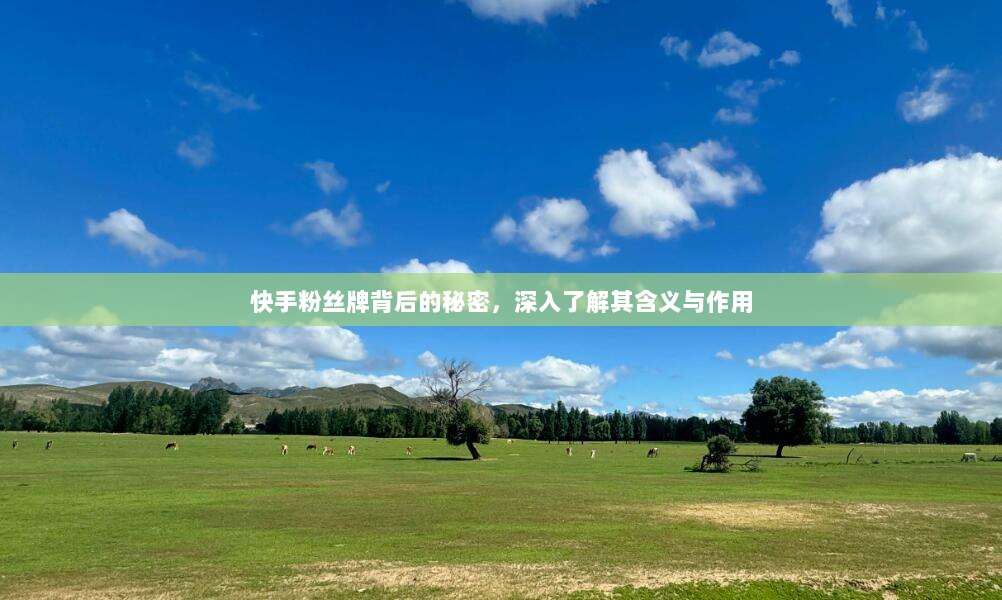 快手粉丝牌背后的秘密，深入了解其含义与作用