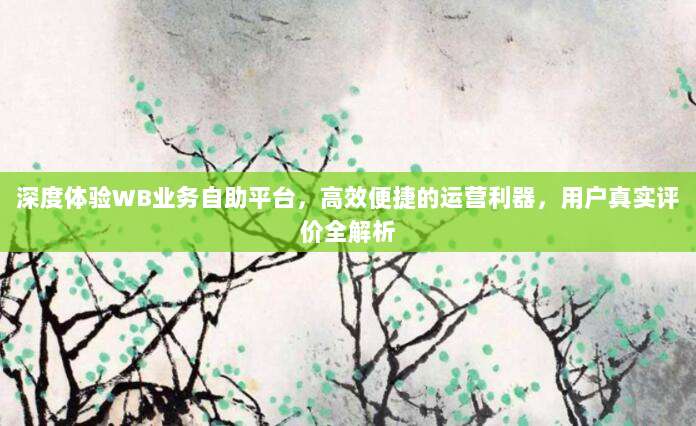 深度体验WB业务自助平台，高效便捷的运营利器，用户真实评价全解析