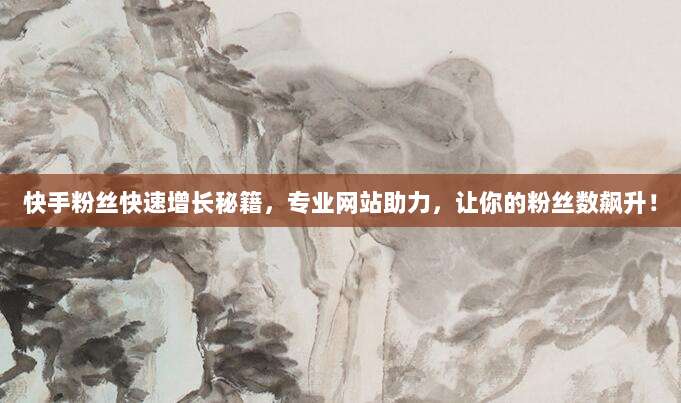 快手粉丝快速增长秘籍，专业网站助力，让你的粉丝数飙升！