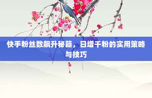 快手粉丝数飙升秘籍，日增千粉的实用策略与技巧