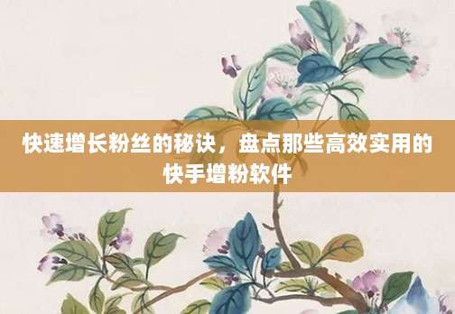 快速增长粉丝的秘诀，盘点那些高效实用的快手增粉软件