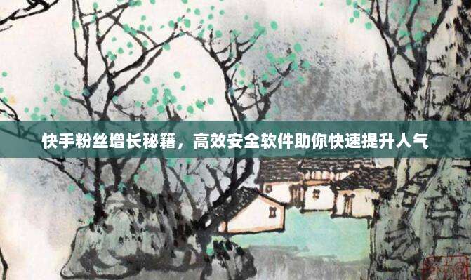 快手粉丝增长秘籍,高效安全软件助你快速提升人气