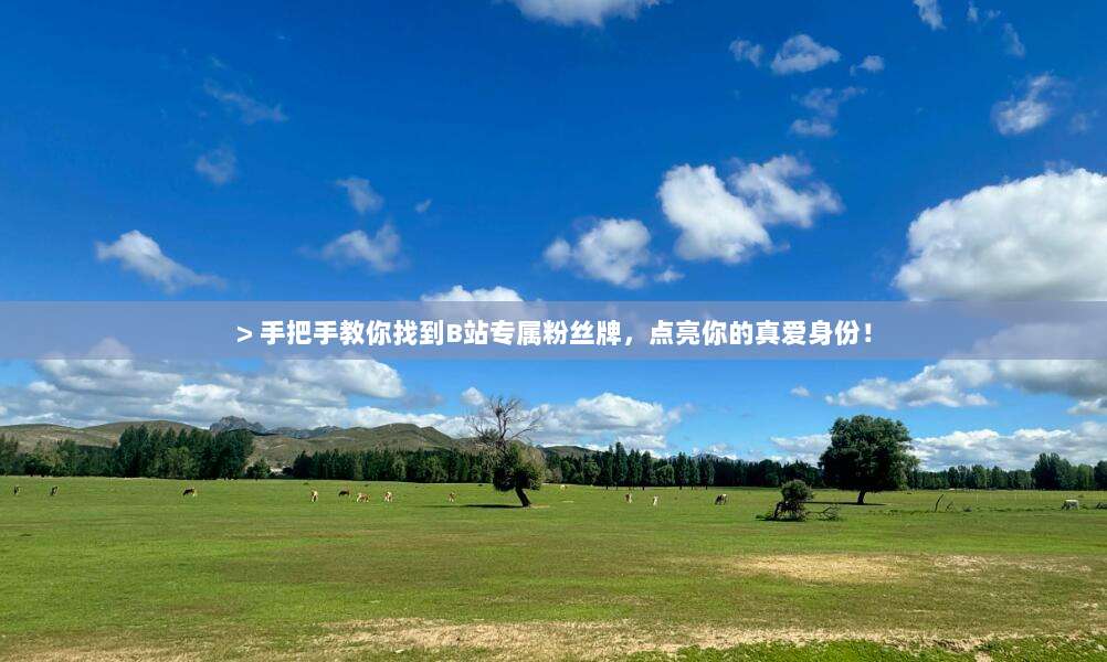 > 手把手教你找到B站专属粉丝牌，点亮你的真爱身份！