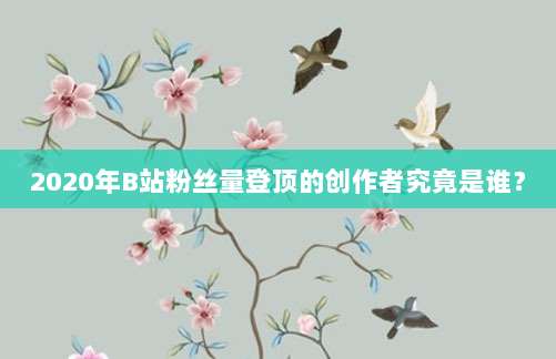 2020年B站粉丝量登顶的创作者究竟是谁？